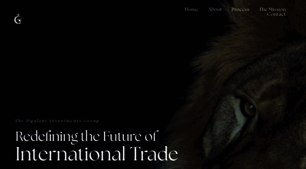 opulentinvestmentsgroup.com