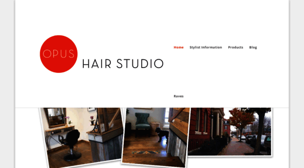 opushairstudio.com