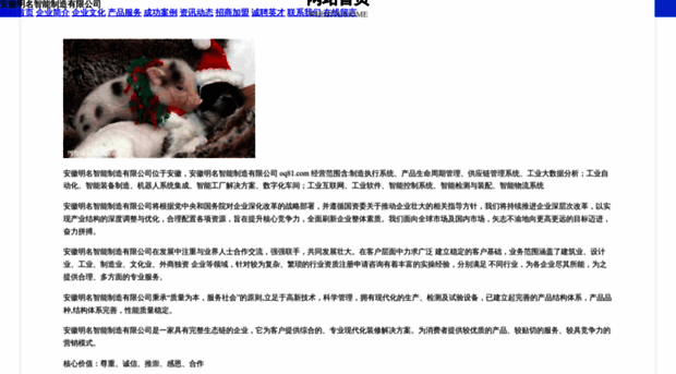 oq81.com