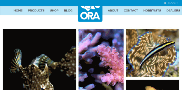 oracorals.com