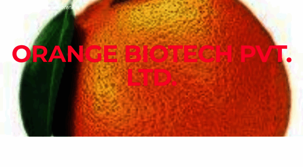 orangebiotech.weebly.com