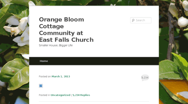 orangebloom.org