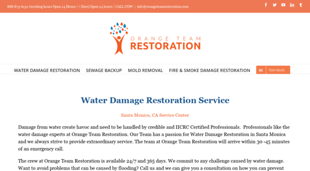 orangeteamrestoration.com