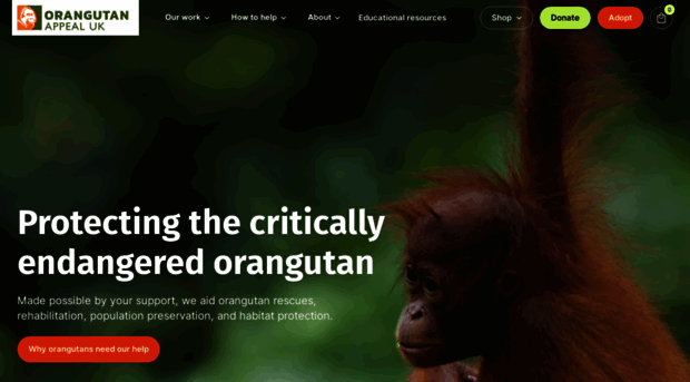 orangutan-appeal.org.uk