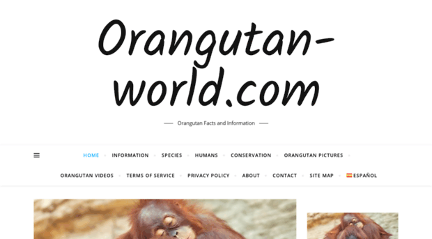 orangutan-world.com