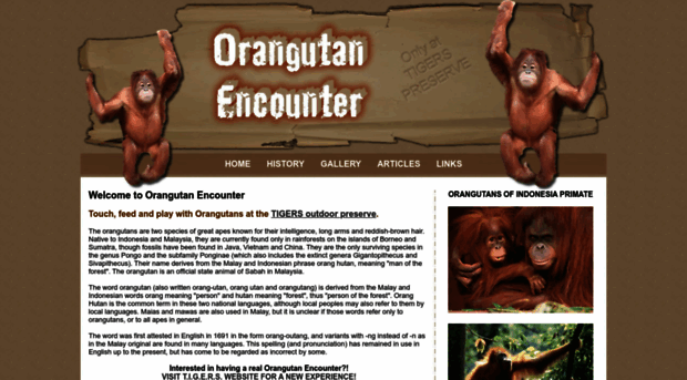 orangutanencounter.com