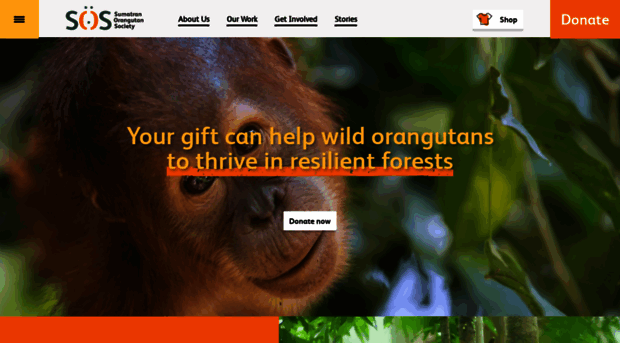 orangutans-sos.org