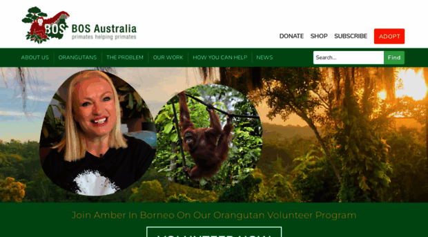 orangutans.com.au