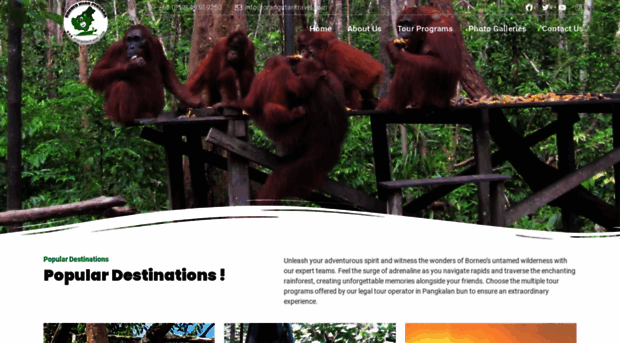 orangutantravel.com