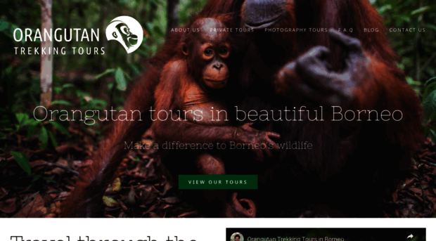 orangutantrekkingtours.com