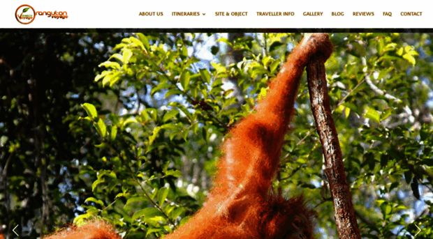 orangutanvoyage.com