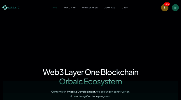 orbaic.com