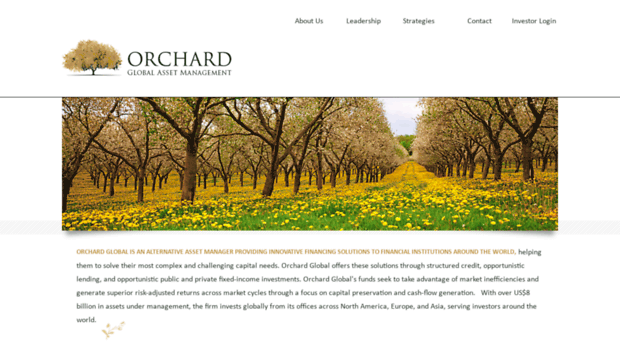 orchardgroup.com