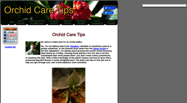 orchid-care-tips.com