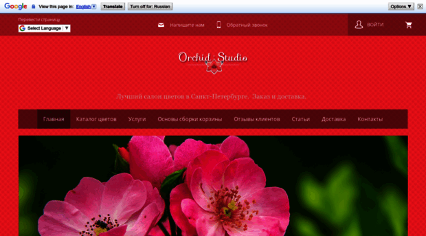 orchid-studio.ru