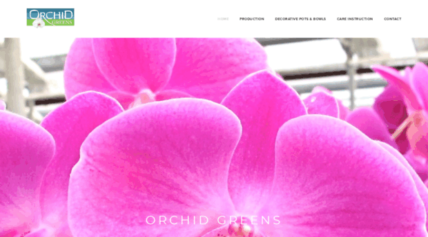 orchidgreens.com