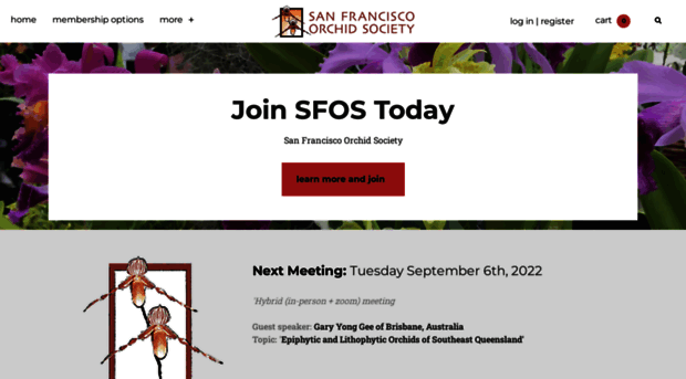 orchidsanfrancisco.org