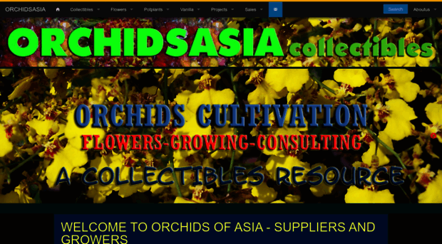 orchidsasia.com