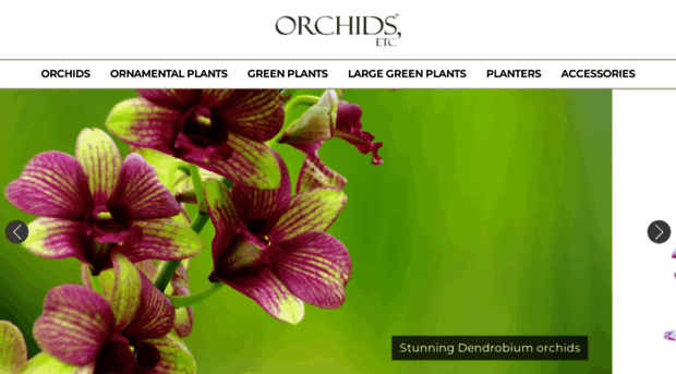 orchidsetc.in