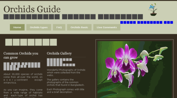 orchidsguidebd.com