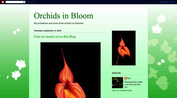 orchidsinbloom-ron.blogspot.com.br