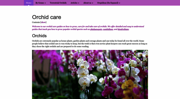 orchidstudium.com