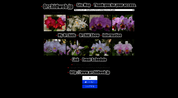 orchidweb.jp