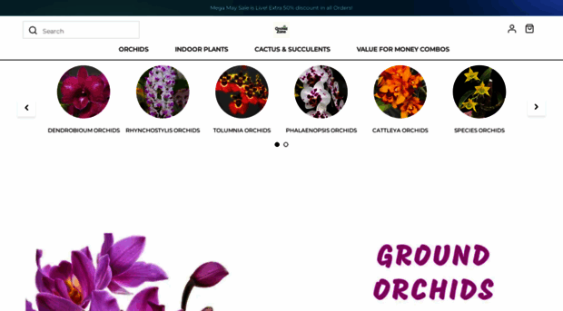 orchidzone.in