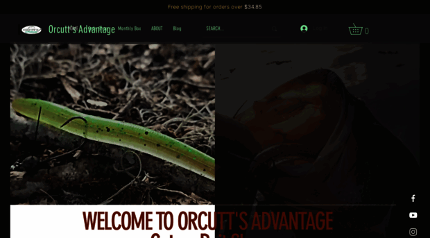 orcuttsadvantage.com