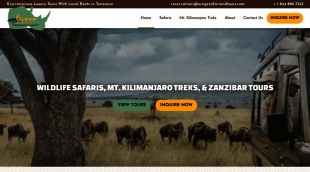 oregesafariandtours.com