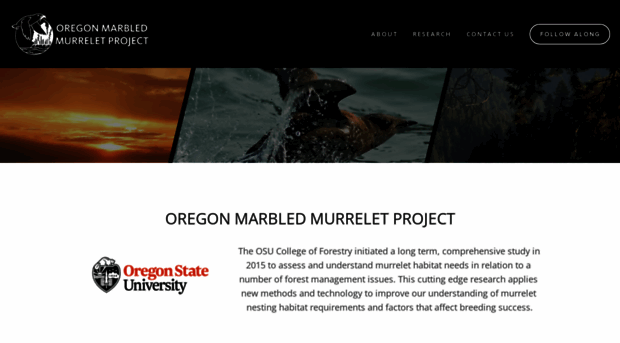 oregonmurrelet.org