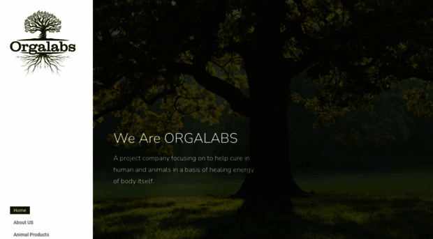 orgalabs.com.tr