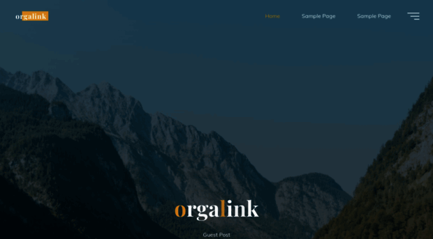 orgalink.net