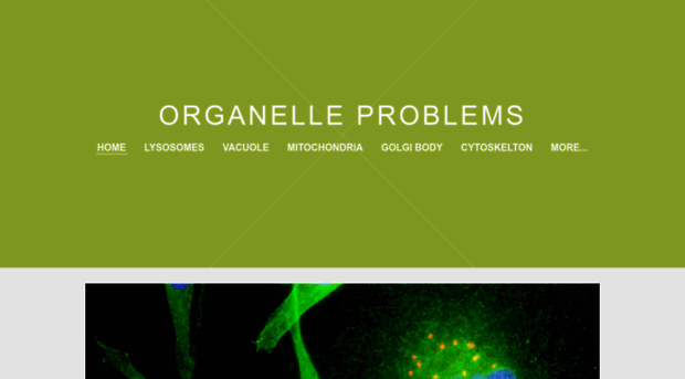 organelleproblems.weebly.com