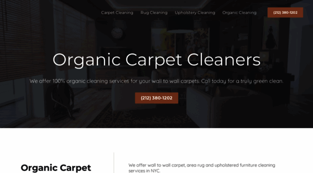 organic-carpet-cleaners.com