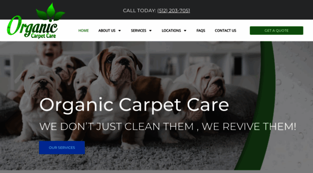 organiccarpetcare.com