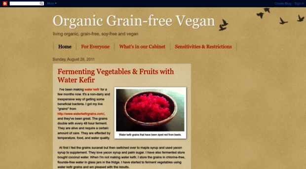 organicgrainfreevegan.blogspot.com