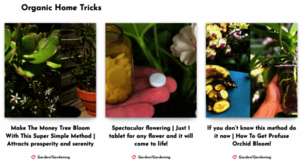 organichometricks.com