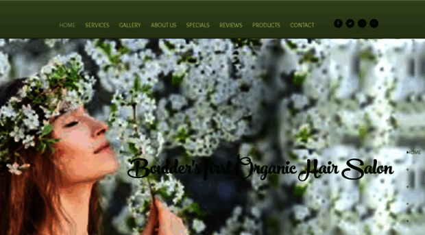 organicnaturalhairsalon.com