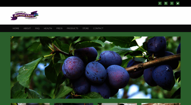 organicprunes.com