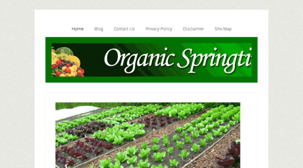 organicspringtime.com