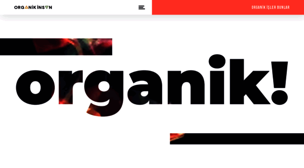organikinsan.com