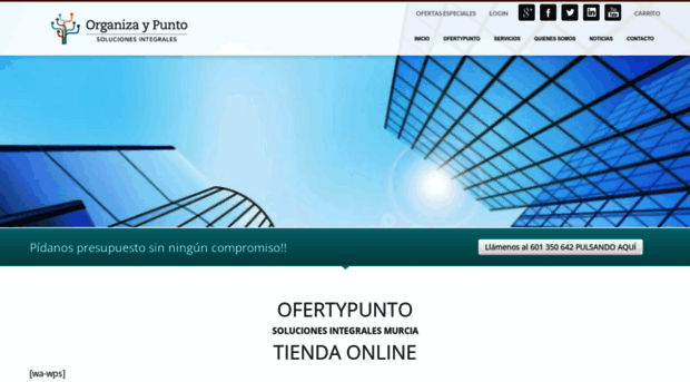 organizaypunto.com