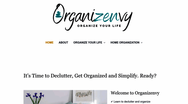 organizenvy.com