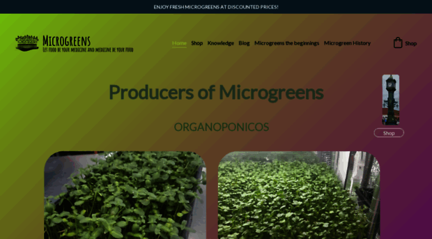 organoponicos.co.uk