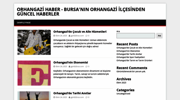 orhangazihaber.com.tr