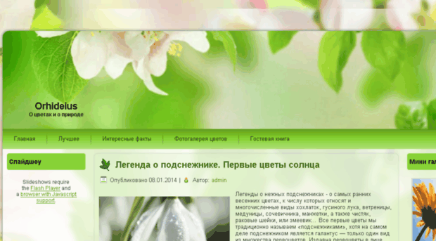 orhideius.ru