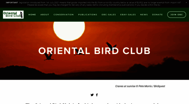 orientalbirdclub.org