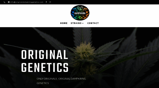 originaldampkringgenetics.com