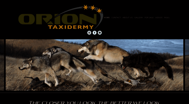 orion-taxidermy.com